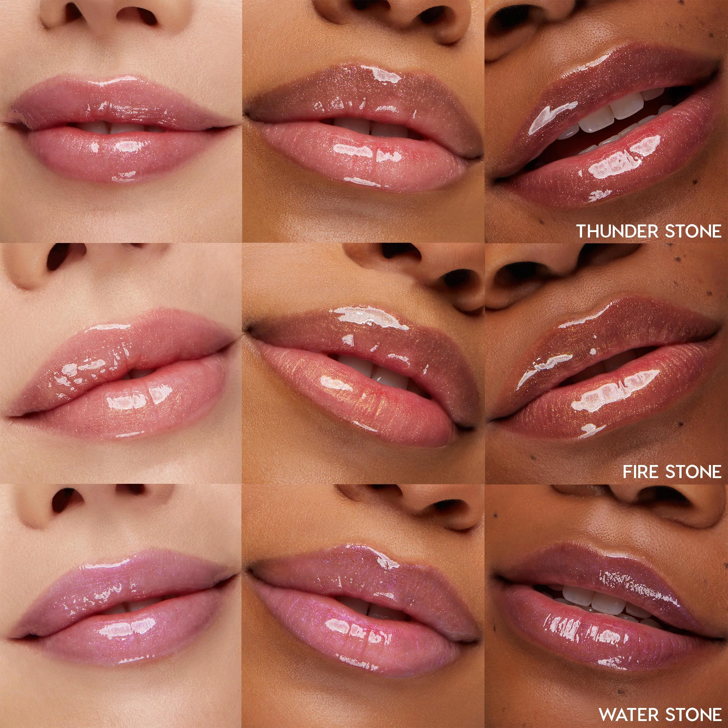Evolution - Image 3